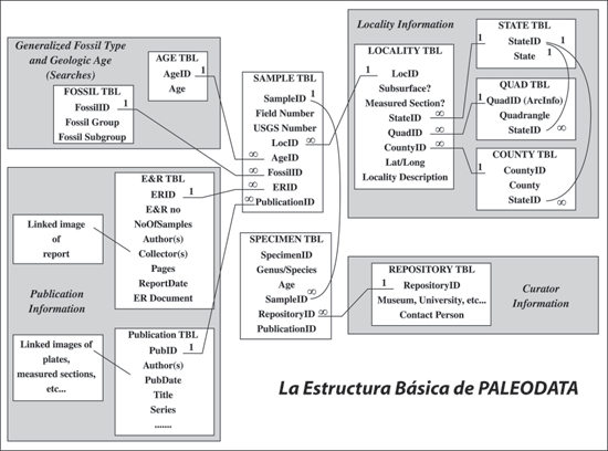 The Data Model: Basic structure of Paleodata